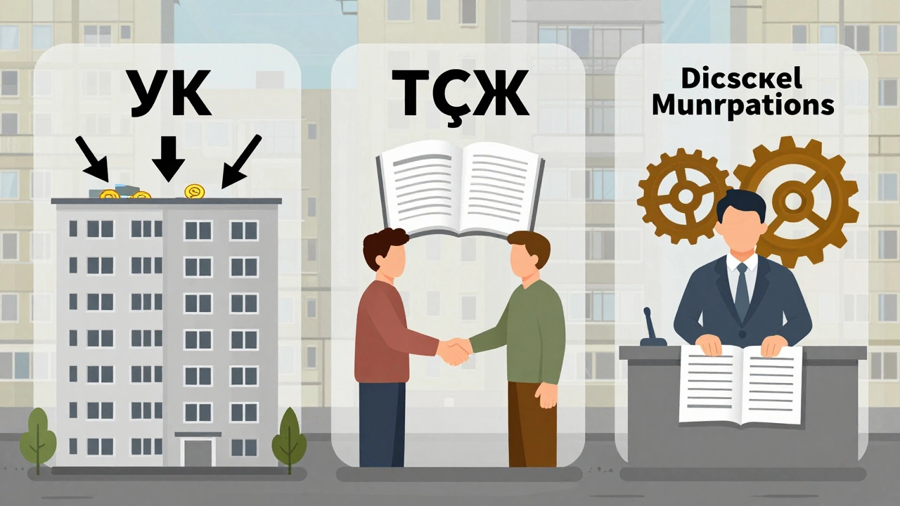 Сравнение трёх моделей управления домом: УК, ТСЖ и муниципалитет, визуализировано символически без текста.